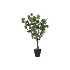Декоративное растение DKD Home Decor Зеленый PE (50 x 50 x 85 cm) цена и информация | Искусственные цветы | 220.lv