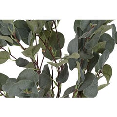 Декоративное растение DKD Home Decor Зеленый PE (50 x 50 x 85 cm) цена и информация | Искусственный букет DKD Home Decor, 2 шт | 220.lv