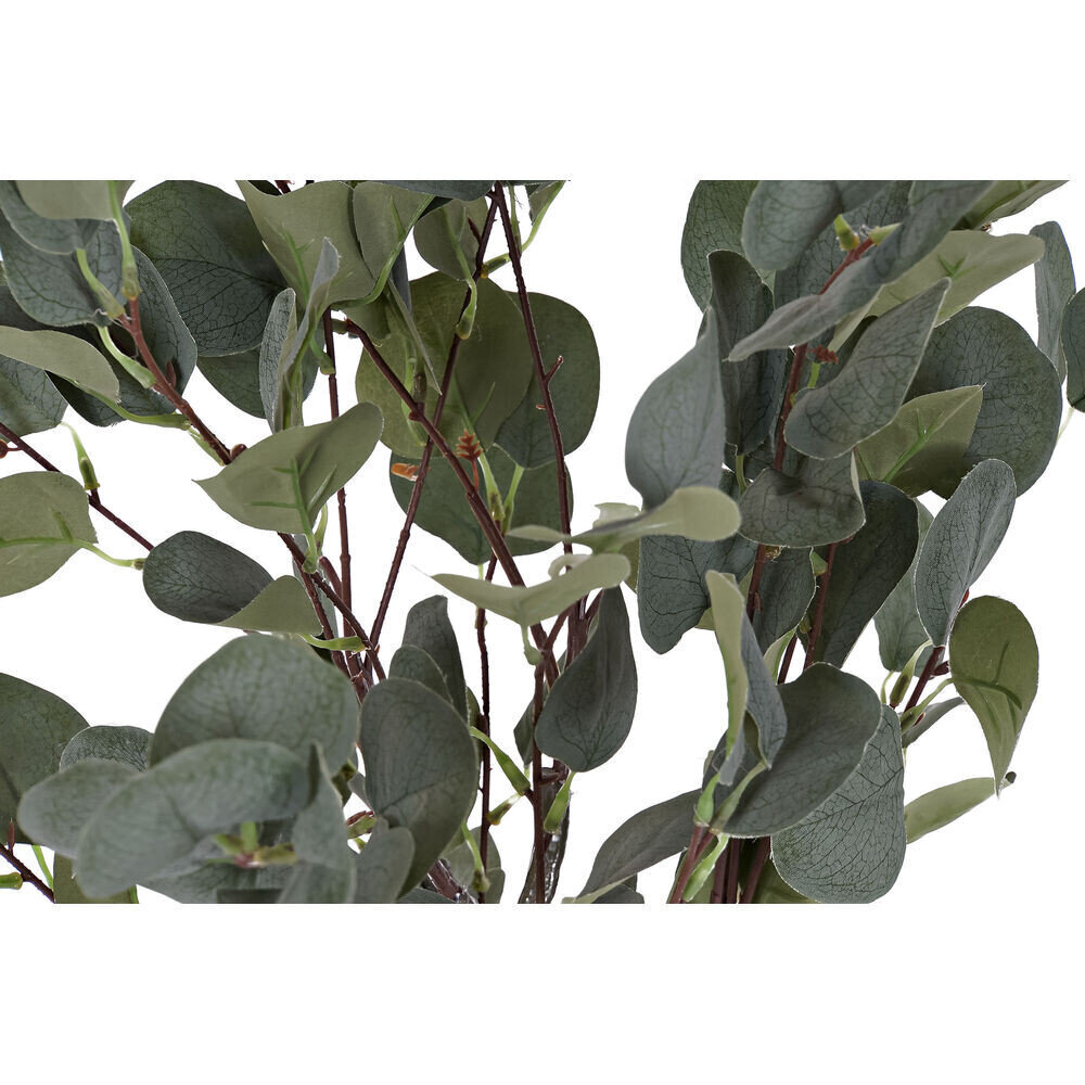 Dekoratīvs Augs DKD Home Decor Zaļš PE (50 x 50 x 85 cm) цена и информация | Mākslīgie ziedi | 220.lv