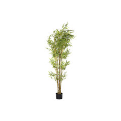 Dekoratīvs Augs DKD Home Decor Zaļš Bambuss PE (40 x 40 x 150 cm) cena un informācija | Mākslīgie ziedi | 220.lv