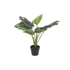 Dekoratīvs Augs DKD Home Decor Monstera Monstera Zaļš PVC (65 x 65 x 60 cm) cena un informācija | Mākslīgie ziedi | 220.lv