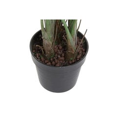 Декоративное растение DKD Home Decor PVC (100 x 100 x 145 cm) цена и информация | Искусственные цветы | 220.lv