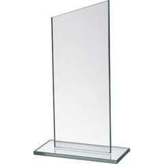Stikla trofeja, 17 cm cena un informācija | Citas oriģinālas dāvanas | 220.lv
