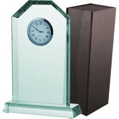 Stikla trofeja ar futrāli, 22,5cm cena un informācija | Citas oriģinālas dāvanas | 220.lv