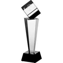 Gravēta stikla trofeja ar korpusu cena un informācija | Citas oriģinālas dāvanas | 220.lv
