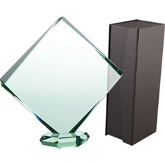 Stikla trofeja ar futrālīti, 20cm cena un informācija | Citas oriģinālas dāvanas | 220.lv