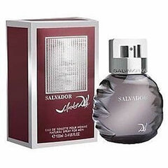 Tualetes ūdens Salvador Dali Salvador edt 100 ml cena un informācija | Vīriešu smaržas | 220.lv