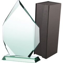Stikla trofeja ar korpusu, 27cm cena un informācija | Citas oriģinālas dāvanas | 220.lv