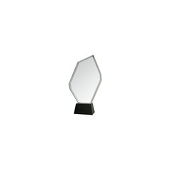 Stikla trofeja ar futrāli, 29 cm cena un informācija | Citas oriģinālas dāvanas | 220.lv