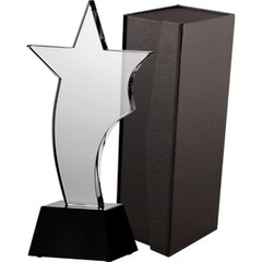 Stikla trofeja ar paplāti 25,5cm cena un informācija | Citas oriģinālas dāvanas | 220.lv