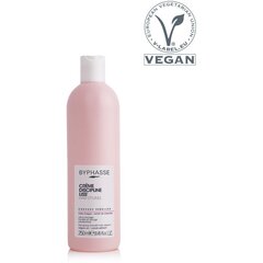Блестящий крем от вьющихся волос Byphasse Discipline Liss' (250 ml) цена и информация | Средства для укладки волос | 220.lv