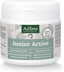 Aniforte Junior Active for kucēniem un jauniem suņiem 250 g цена и информация | Витамины, пищевые добавки, анти-паразит продукты для собак | 220.lv