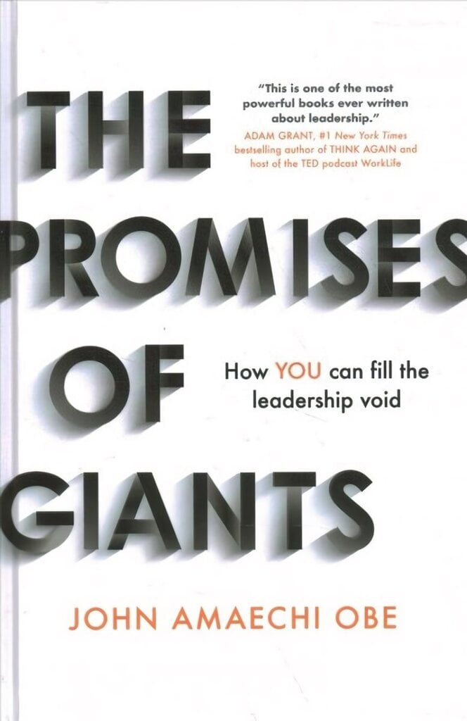 Promises of Giants: How you can fill the leadership void цена и информация | Ekonomikas grāmatas | 220.lv