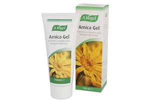 Гель Arnica A.Vogel 100 мл цена и информация | Кремы, лосьоны для тела | 220.lv