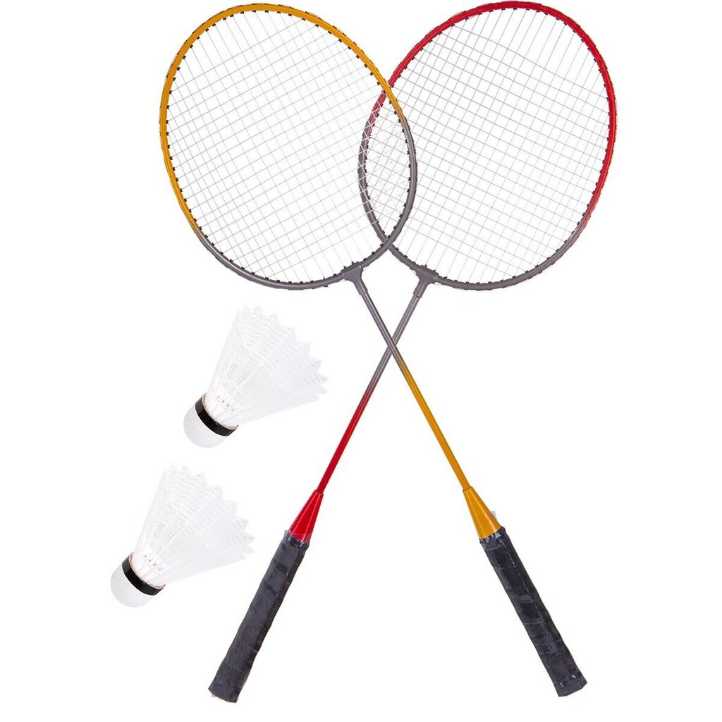 Badmintona un volejbola komplekts, 6in1 цена и информация | Badmintons | 220.lv