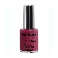 Лак для ногтей Andreia Hybrid Fusion H21, 10.5 мл цена и информация | Лаки для ногтей, укрепители | 220.lv