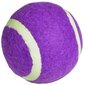 Tenisa bumbiņa - Enero, violeta 1 gab. цена и информация | Āra tenisa preces | 220.lv