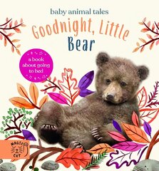 Goodnight, Little Bear: A Book About Going to Bed цена и информация | Книги для подростков и молодежи | 220.lv