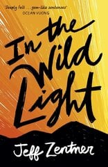 In the Wild Light цена и информация | Книги для подростков и молодежи | 220.lv