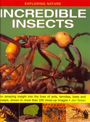 Exploring Nature: Incredible Insects: An Amazing Insight into the Lives of Ants, Termites, Bees and Wasps, Shown   in More Than 220 Close-up Images цена и информация | Книги для подростков и молодежи | 220.lv