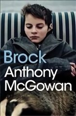 Brock цена и информация | Книги для подростков и молодежи | 220.lv