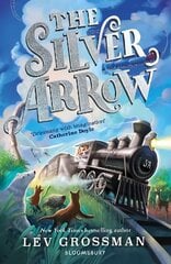 Silver Arrow цена и информация | Книги для подростков и молодежи | 220.lv