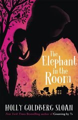 Elephant in the Room cena un informācija | Grāmatas pusaudžiem un jauniešiem | 220.lv