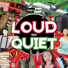 Loud and Quiet cena un informācija | Grāmatas mazuļiem | 220.lv