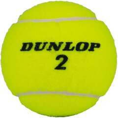 Теннисные мячи - DUNLOP CLUB, 3 шт. цена и информация | Товары для большого тенниса | 220.lv