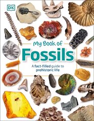 My Book of Fossils: A fact-filled guide to prehistoric life cena un informācija | Grāmatas pusaudžiem un jauniešiem | 220.lv
