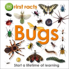 First Facts Bugs цена и информация | Книги для подростков и молодежи | 220.lv