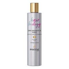 Šampūns Hair Biology Gris Radiante Pantene (250 ml) cena un informācija | Šampūni | 220.lv