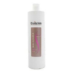 Šampūns Exitenn Silver, Whites & Blondes (1000 ml) cena un informācija | Šampūni | 220.lv