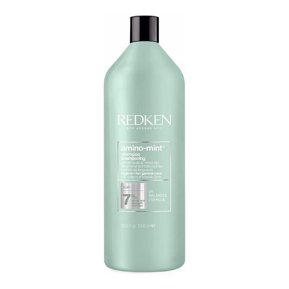 Šampūns Redken Amino Mint (1000 ml) cena un informācija | Šampūni | 220.lv