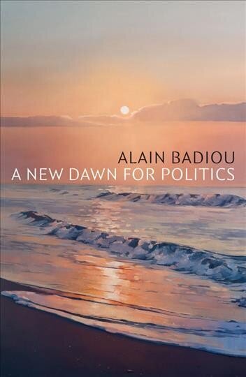 New Dawn for Politics cena un informācija | Sociālo zinātņu grāmatas | 220.lv