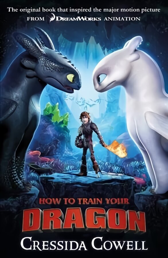 How to Train Your Dragon FILM TIE IN (3RD EDITION): Book 1 cena un informācija | Grāmatas pusaudžiem un jauniešiem | 220.lv
