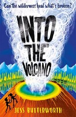 Into the Volcano cena un informācija | Grāmatas pusaudžiem un jauniešiem | 220.lv