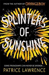 Splinters of Sunshine cena un informācija | Grāmatas pusaudžiem un jauniešiem | 220.lv