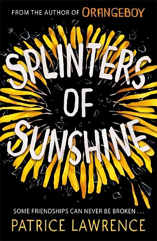 Splinters of Sunshine цена и информация | Grāmatas pusaudžiem un jauniešiem | 220.lv