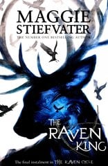 Raven King цена и информация | Книги для подростков  | 220.lv