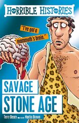 Savage Stone Age цена и информация | Книги для подростков и молодежи | 220.lv