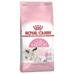 Sausa barība kaķiem Royal Canin Babycat, 2 kg cena un informācija | Sausā barība kaķiem | 220.lv