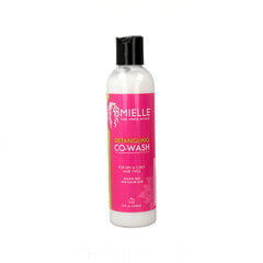 Kondicionieris Mielle Detangling Co-Wash (240 ml) цена и информация | Бальзамы, кондиционеры | 220.lv