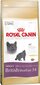 Sausa barība kaķiem Royal Canin British Shorthair 400 g cena un informācija | Sausā barība kaķiem | 220.lv