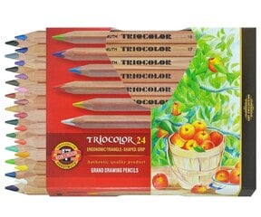 Krāsaino zīmuļu komplekts "TRIOCOLOR" 24gab cena un informācija | Modelēšanas un zīmēšanas piederumi | 220.lv