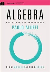 Algebra: Notes from the Underground цена и информация | Книги по экономике | 220.lv