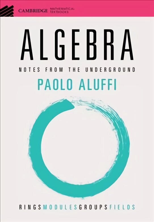 Algebra: Notes from the Underground цена и информация | Ekonomikas grāmatas | 220.lv