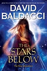 Stars Below (Vega Jane, Book 4): Volume 4 цена и информация | Книги для подростков  | 220.lv