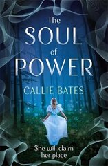 Soul of Power цена и информация | Книги для подростков  | 220.lv