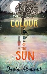 The Colour of the Sun цена и информация | Книги для подростков  | 220.lv